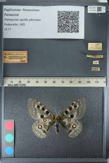 Media type: image;   Entomology 175295